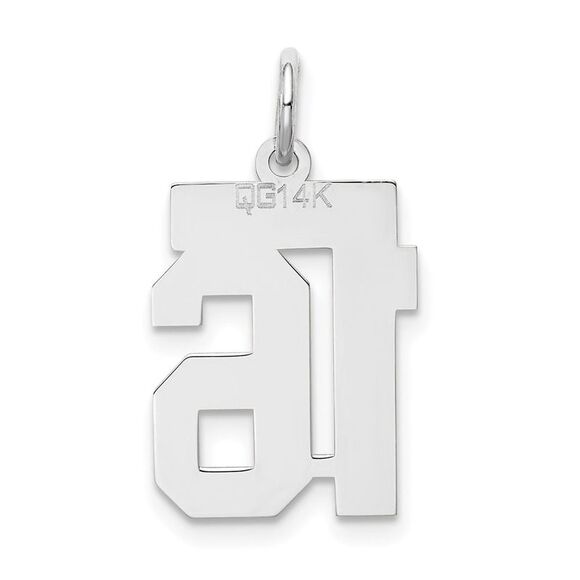 14k White Gold, Jersey Collection, Small Number 16 Pendant - Picture 3 of 5